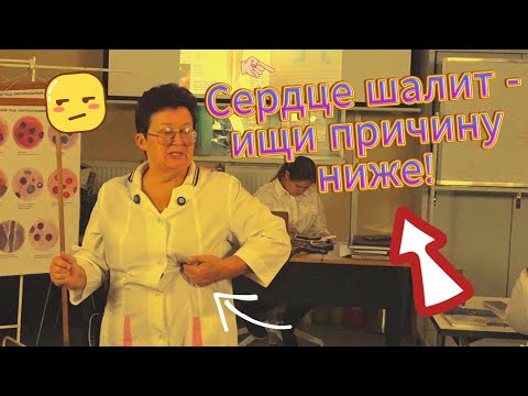 Видео: Главная тайна болезней сердца