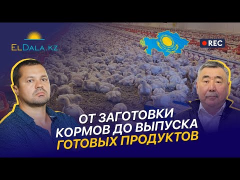Видео: Вертикальная интеграция в птицеводстве: Жайык Ет. Эффективность и рентабельность переработки в АПК