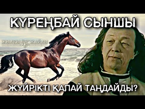 Видео: ЖҮЙРІК ЖЫЛҚЫНЫ ҚАЛАЙ ТАҢДАЙМЫЗ❔- Аттың сыны: Күреңбай сыншы❗