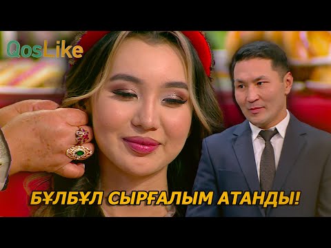 Видео: Бұлбұл сырғалым атанды!