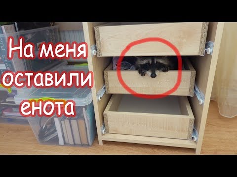 Видео: VLOG Почему я расстроилась