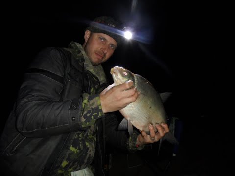 Видео: Рыбалка на леща в Колдаис на река Суре