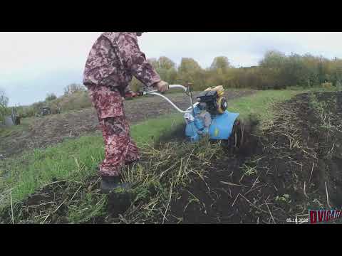 Видео: 100р на бензин - 1,5 часа - 9 соток - Нева мб23 - осенние яблоки