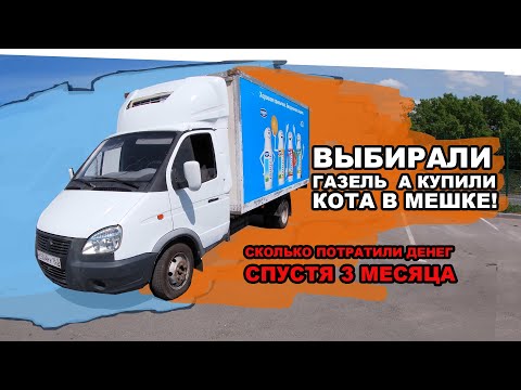 Видео: ВЫБИРАЛИ ГАЗЕЛЬ А КУПИЛИ КОТА В МЕШКЕ!   СКОЛЬКО ПОТРАТИЛИ ДЕНЕГ СПУСТЯ 3 МЕСЯЦА