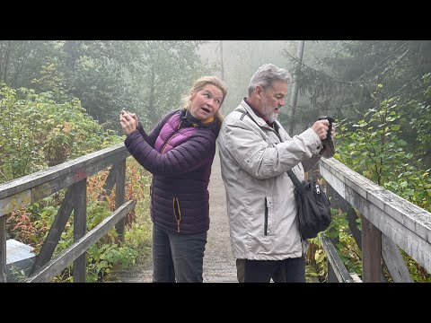 Видео: Уехали в шведский посёлок, обзор отеля.