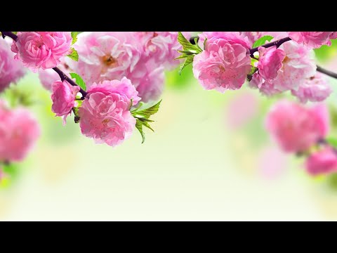 Видео: интересные стихи часть 10