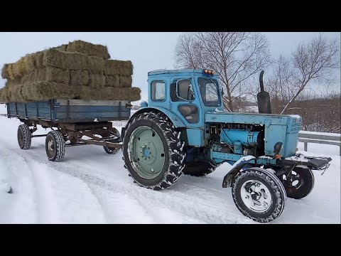 Видео: Доставка сена на Т-40