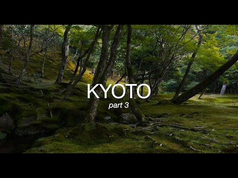 Видео: KYOTO part 3// Uji, Ginkakuji и много интересных мест Киото!