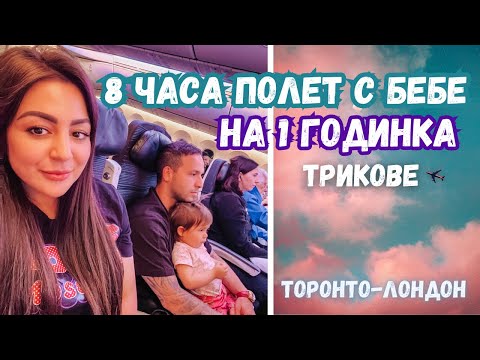 Видео: РЕАКЦИЯТА НА НАШЕТО КУЧЕ СЛЕД 3 МЕСЕЦА РАЗДЯЛА/ПОЛЕТ С БЕБЕ НА 1 ГОДИНКА/ТОРОНТО-ЛОНДОН/ВЛОГ 81