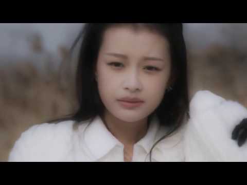 Видео: Пятнадцать лет в ожидании перелётных птиц/Alekseev - Чувствую душой