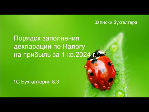 Видео: Декларация по налогу на прибыль 1 квартал 2024 года в 1С