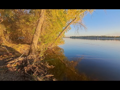 Видео: КАРАСЬ начинает проклёвывать  Карась, плотва, густера  Кайфую на рыбалке