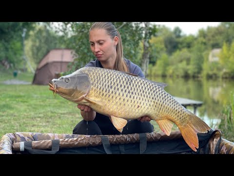 Видео: Як зловити ВЕЛИКОГО КОРОПА коли не клює? Риболовля на водоймі КЛУБ РИБАЛОК ВІДПОЧИНОК.