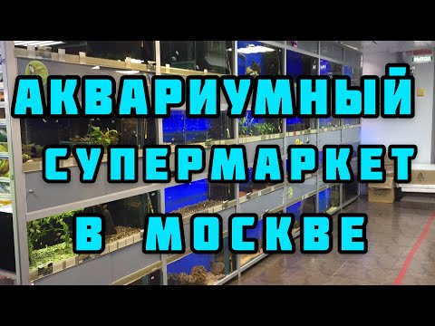 Видео: Обзор Аква Лого