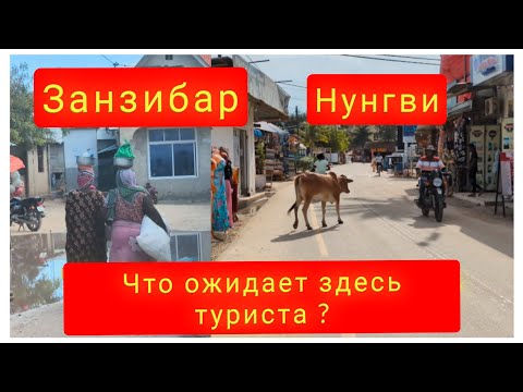 Видео: Занзибар. Нунгви.  Мои первые впечатления. Март 2025