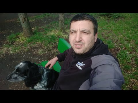 Видео: охот отчет за 2019