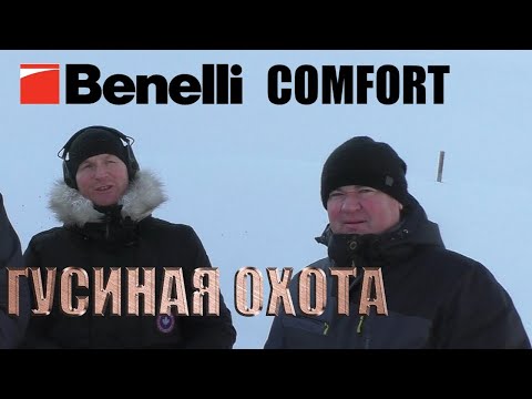 Видео: Benelli COMFORT Гусиная охота