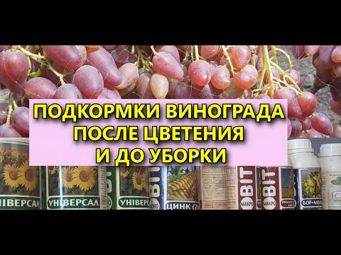 Видео: ПОДКОРМКА ВИНОГРАДА ПОСЛЕ ЦВЕТЕНИЯ И ДО УБОРКИ