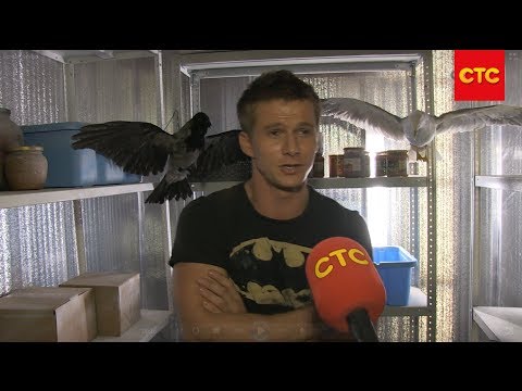 Видео: Корабль | Съемки серии "Птицы"
