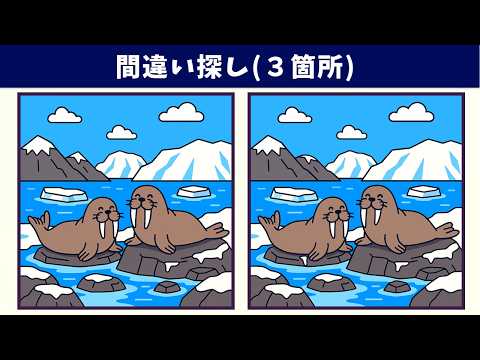 Видео: Найдите 3 отличия | Иллюстрация Версия #2050