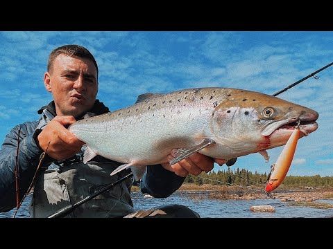 Видео: СПИННИНГ против НАХЛЫСТА, Экспедиция за СЕМГОЙ, Кольский полуостров!