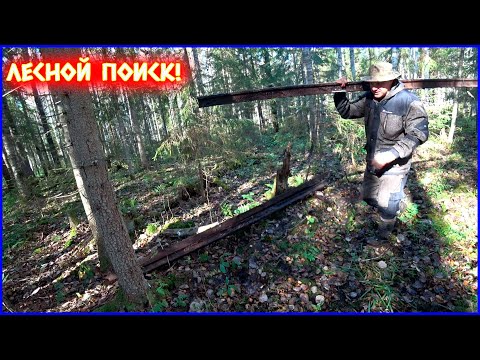 Видео: ОЧЕНЬ СЛОЖНО ИХ НАЙТИ! НАШ ПЛАН СРАБОТАЛ!!!