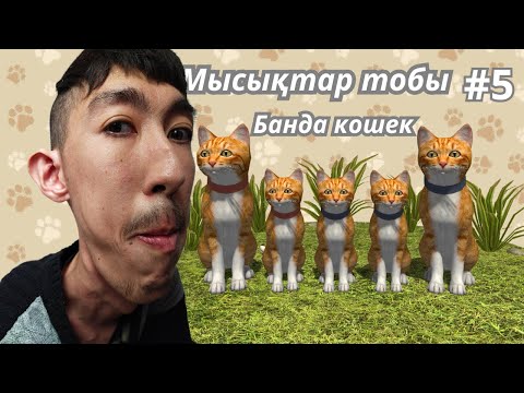 Видео: Мысықтар тобы ► Cat simulator #5 | Algyr ► Play