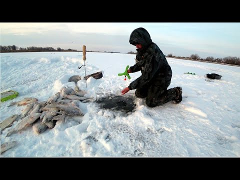 Видео: Рыбалка Ух!. Это надо видеть. Удочки утаскивает!