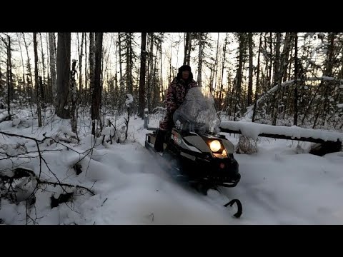 Видео: Изобилие следов. Прокладка путников по болоту. Вечерний рассказ Таежника.