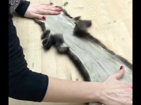 Видео: Сшить шубу. Роспуск в соболе