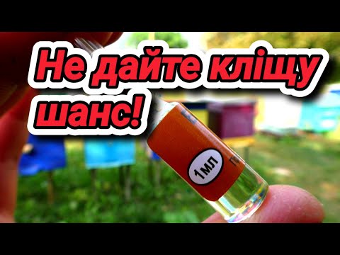 Видео: Ідеальний час для обробітку!