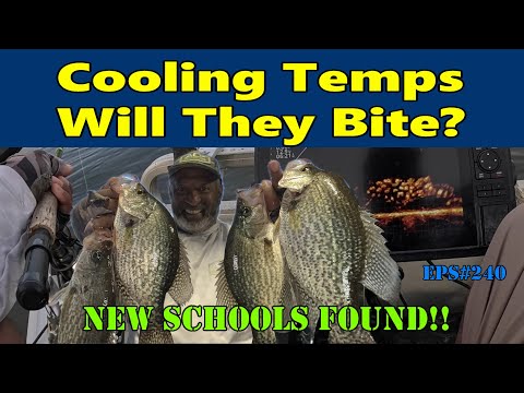 Видео: Охлаждение: будет ли клевать на большие плиты? #acccrappiestix #crappiefishing #redodo