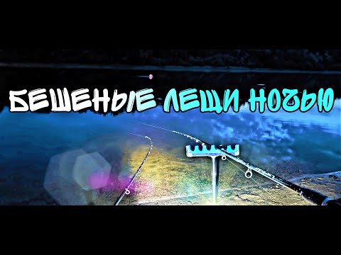Видео: РЫБАЛКА НОЧЬЮ. ЛЕЩИ ПРОСНУЛИСЬ НА РЕКЕ СОЖ. ПОКЛЁВКИ КРУПНЫМ ПЛАНОМ.
