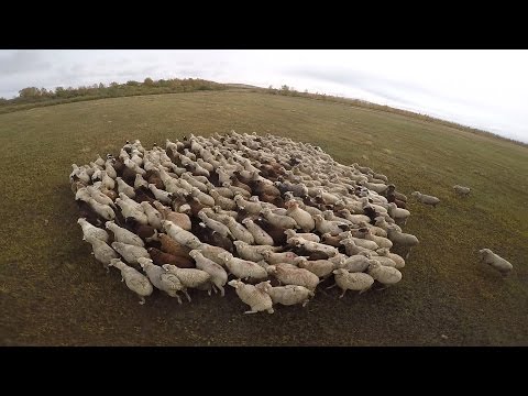 Видео: Осенний воздушный поход.  День 3