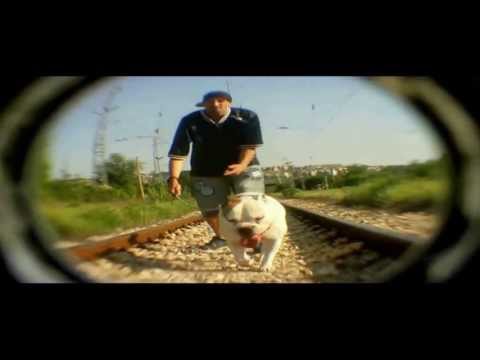 Видео: FOGG - Глад Мори