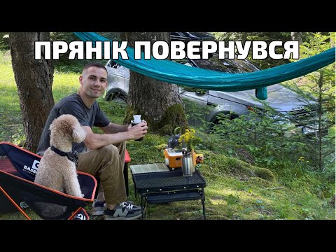 Видео: ПРЯНІК ПОВЕРНУВСЯ, КЕМПІНГ НА БЕРЕЗІ РІЧЦІ на Land Rover (РОЛИ НА ПРИРОДІ)( OVERLANDING)(4K)