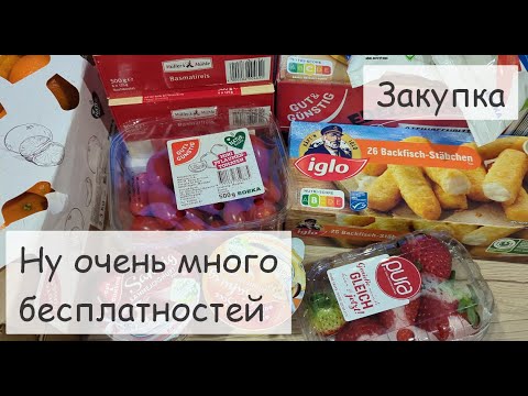 Видео: Закупка на неделю для семьи в Германии с ценами. Новые акции.
