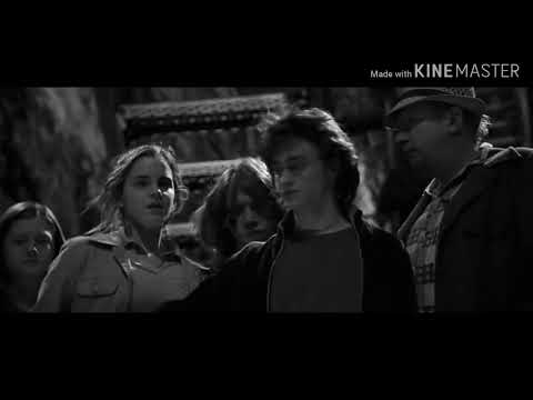 Видео: Драко и Гермиона.