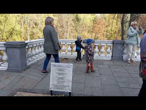 Видео: О ПУШКИНЕ....могила А.С.ПУШКИНА.