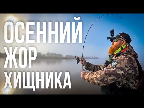 Видео: Амурская рыбалка на воблеры | Осенний жор хищника