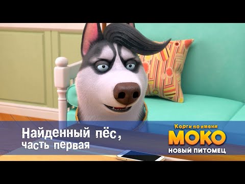 Видео: Корги по имени Моко. Новый питомец - Серия 23.Найденный пёс. Часть 1 - Премьера мультфильма