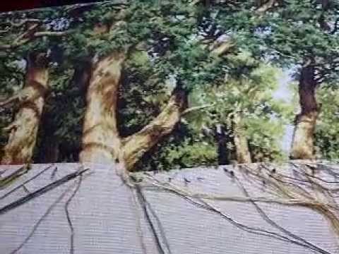 Видео: Вопросы по гобелену.