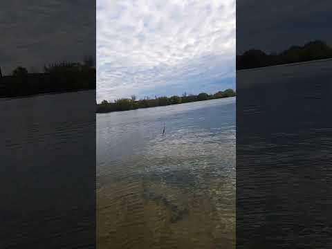 Видео: Рыбалка 🐟 🎣 #Москва-река