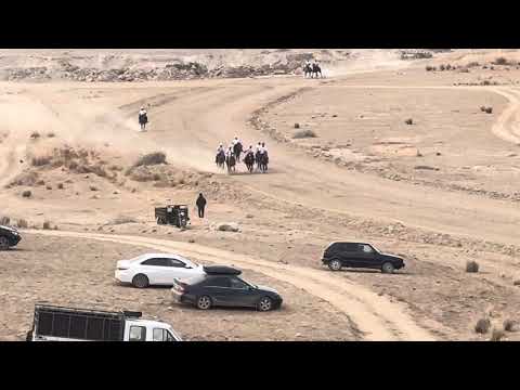 Видео: Кыргыз жорголор. Чоң Жорго 16.11.2025