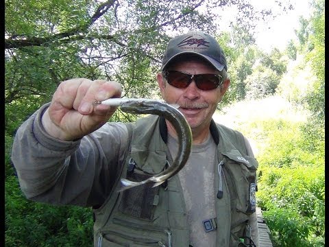 Видео: Константин Кузьмин. Джунгли Подмосковья, или Щука на микроречке.