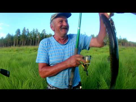 Видео: Зейское Водохранилище -Золотые пески- "В поисках зубастой"