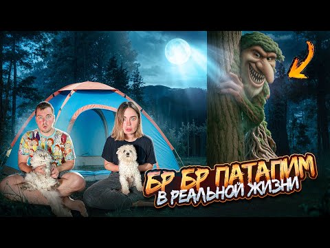 Видео: БР БР ПАТАПИМ В РЕАЛЬНОЙ ЖИЗНИ | 24 ЧАСА В ЗАКОЛДОВАННОМ ЛЕСУ С КОТОМ И СОБАКОЙ