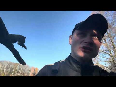 Видео: ТВОРЕЦ ЛЮБИТ ЧИСТОТУ 