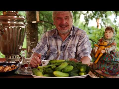 Видео: Взвешивание мыслей. С.В. Савельев. "Пироги Мухи"