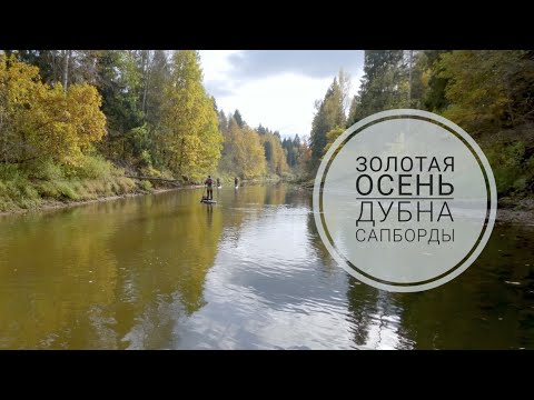 Видео: Золотая осень. На сапбордах по Дубне.